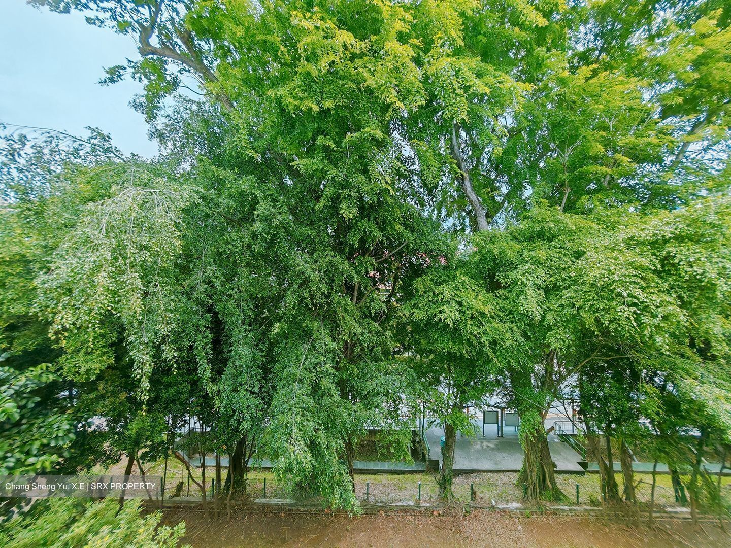 Dunearn Road (D11), Condominium #437453561